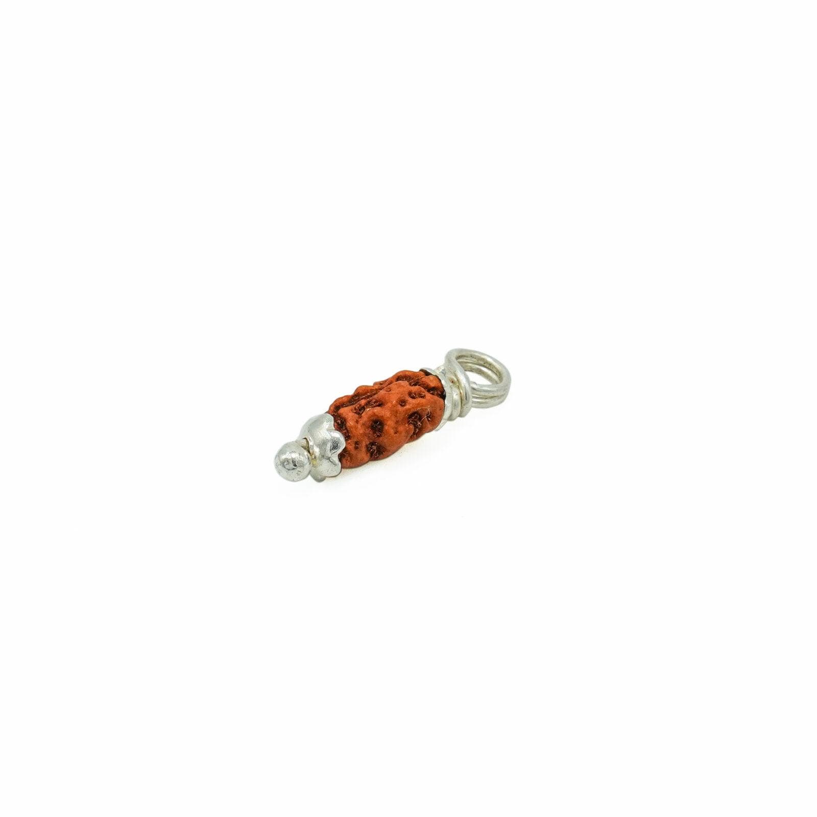 21 Mukhi Rudraksha 100% Original & Certified thumbnail 2