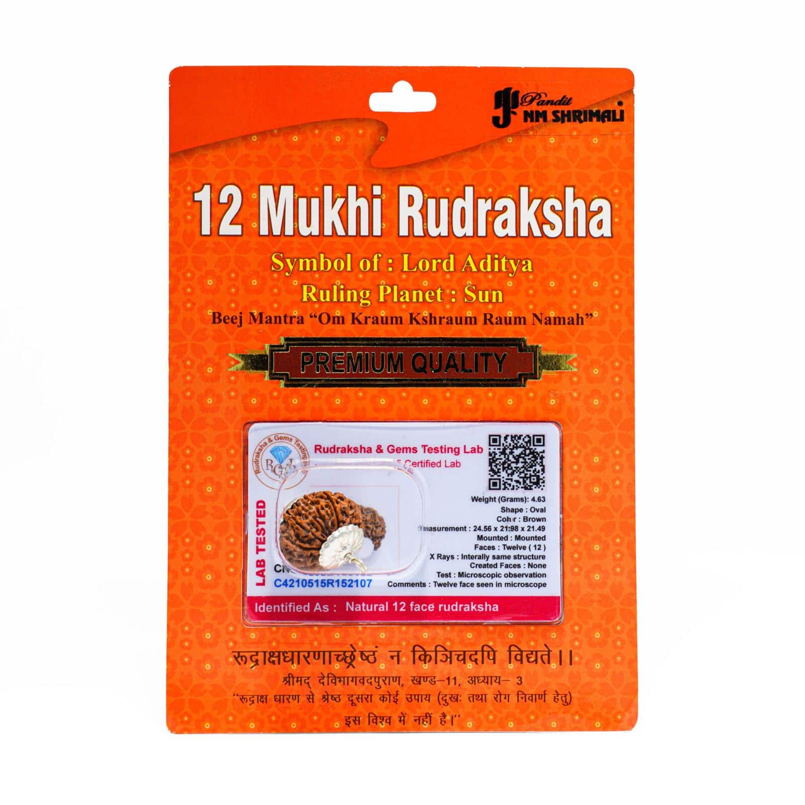 12 Mukhi Rudraksha 100% Certified
