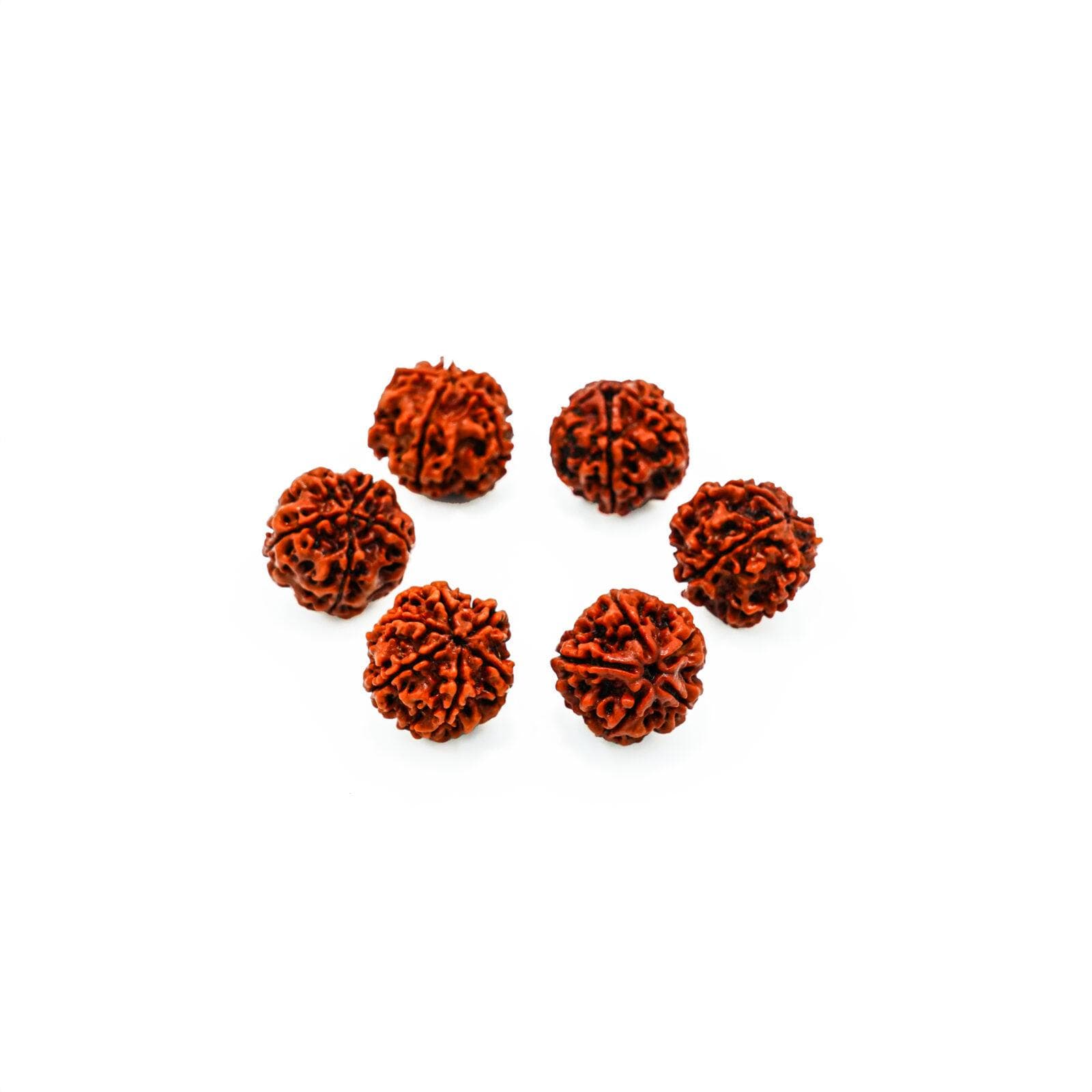 Rudraksha Water Beads - Water Therapy thumbnail 3