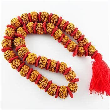 5 Mukhi Rudraksha Kantha Mala