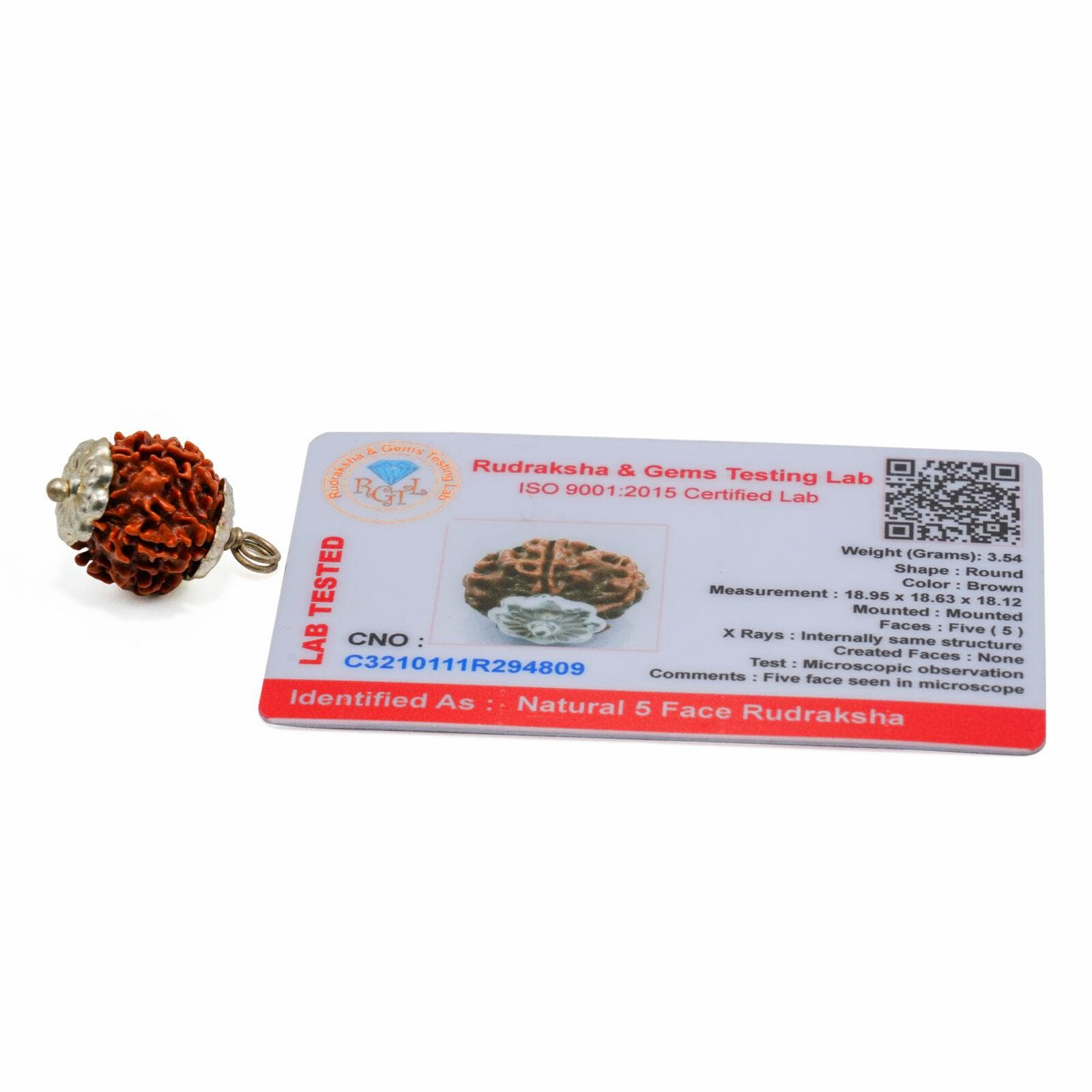 5 Mukhi Rudraksha 100% Certified thumbnail 2