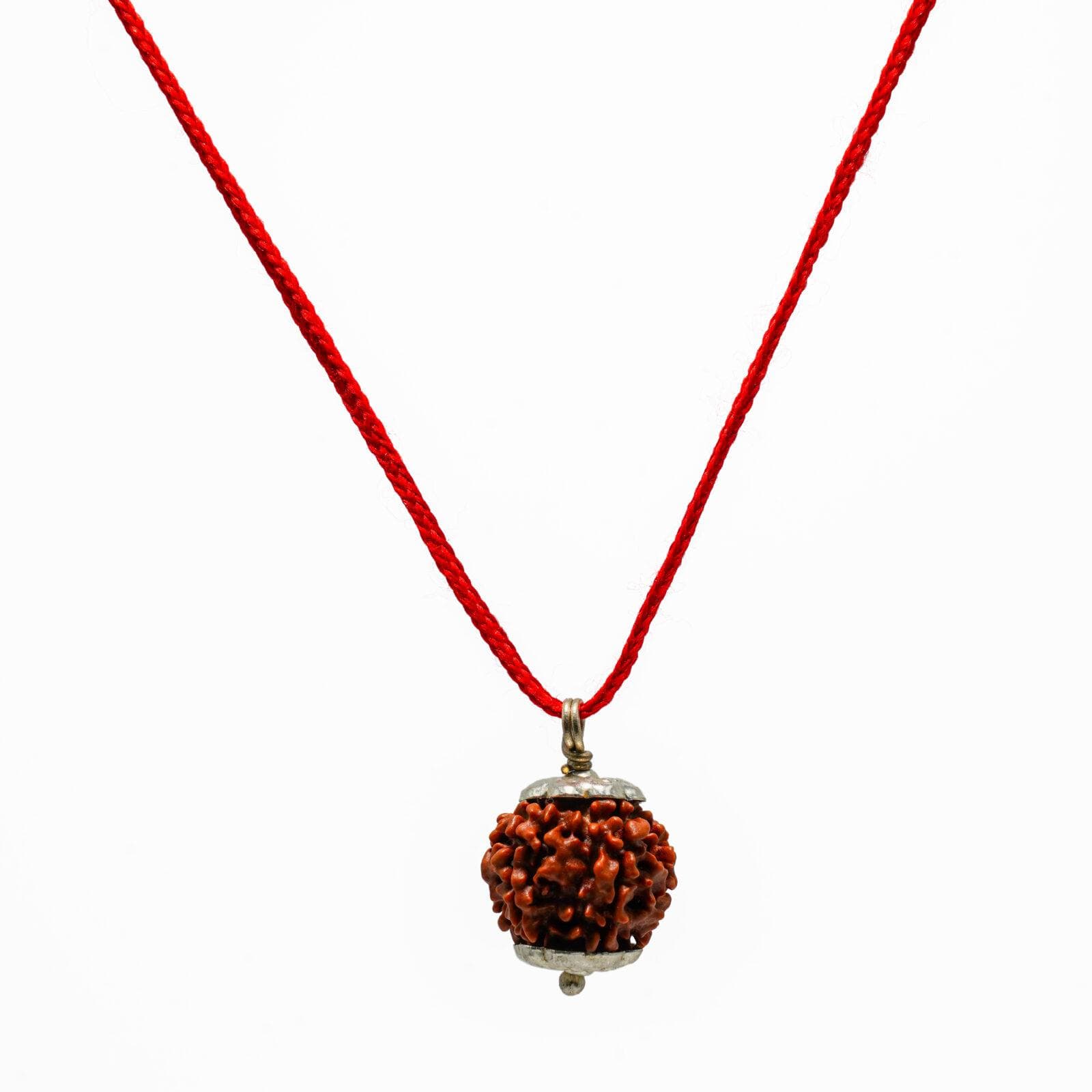 5 Mukhi Rudraksha 100% Certified thumbnail 3