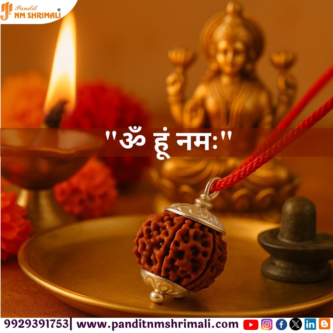 7 Mukhi Rudraksha 100% Certified