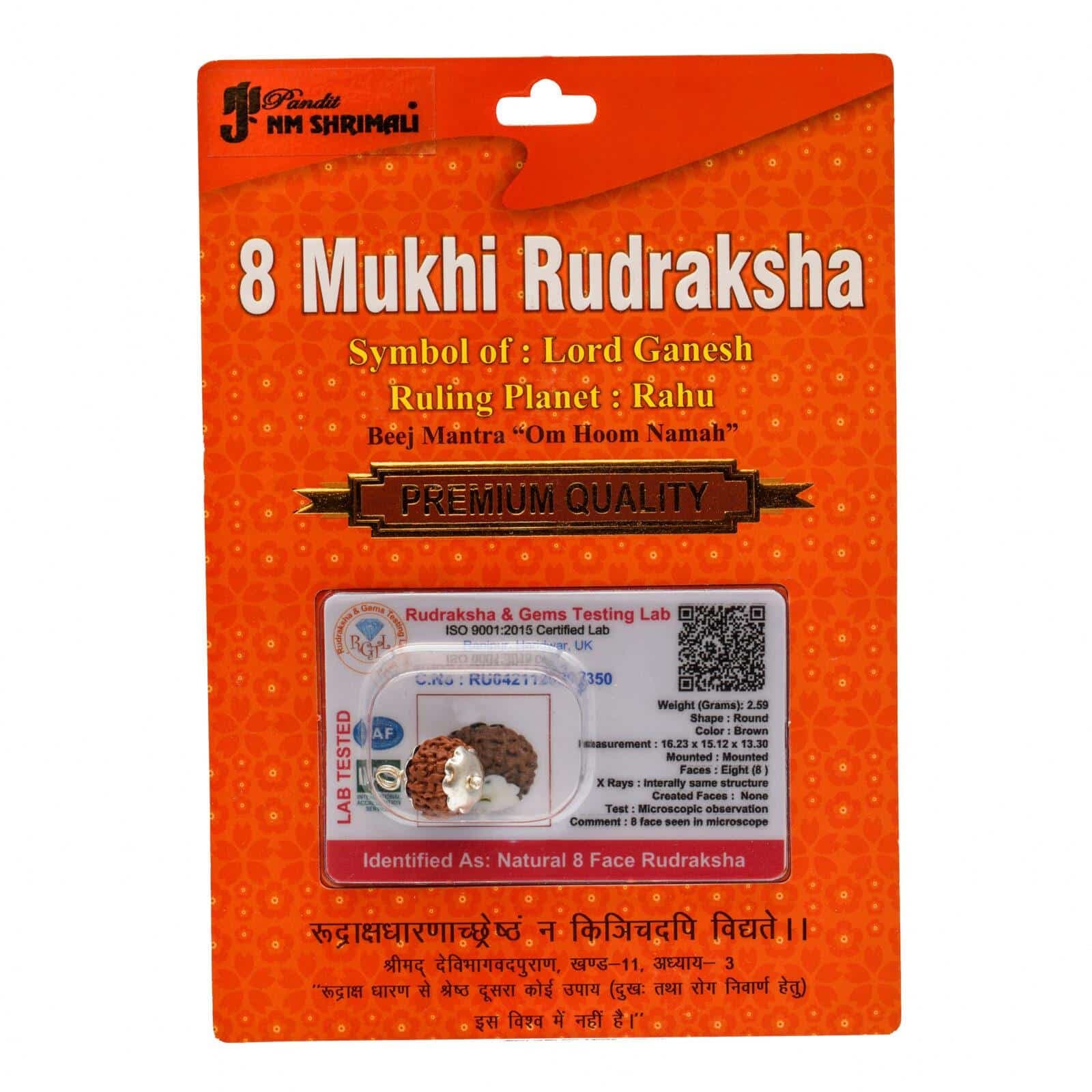8 Mukhi Rudraksha 100% Certified