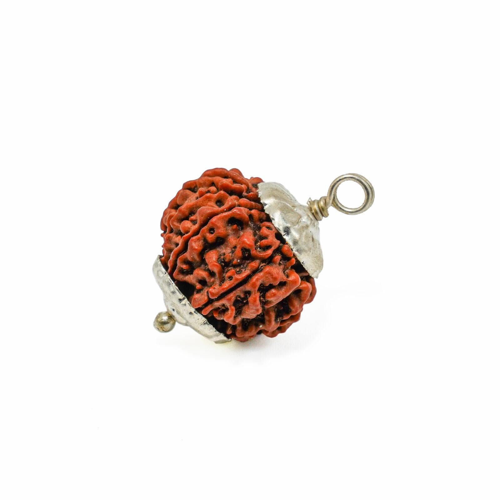 9 Mukhi Rudraksha 100% Certified thumbnail 2
