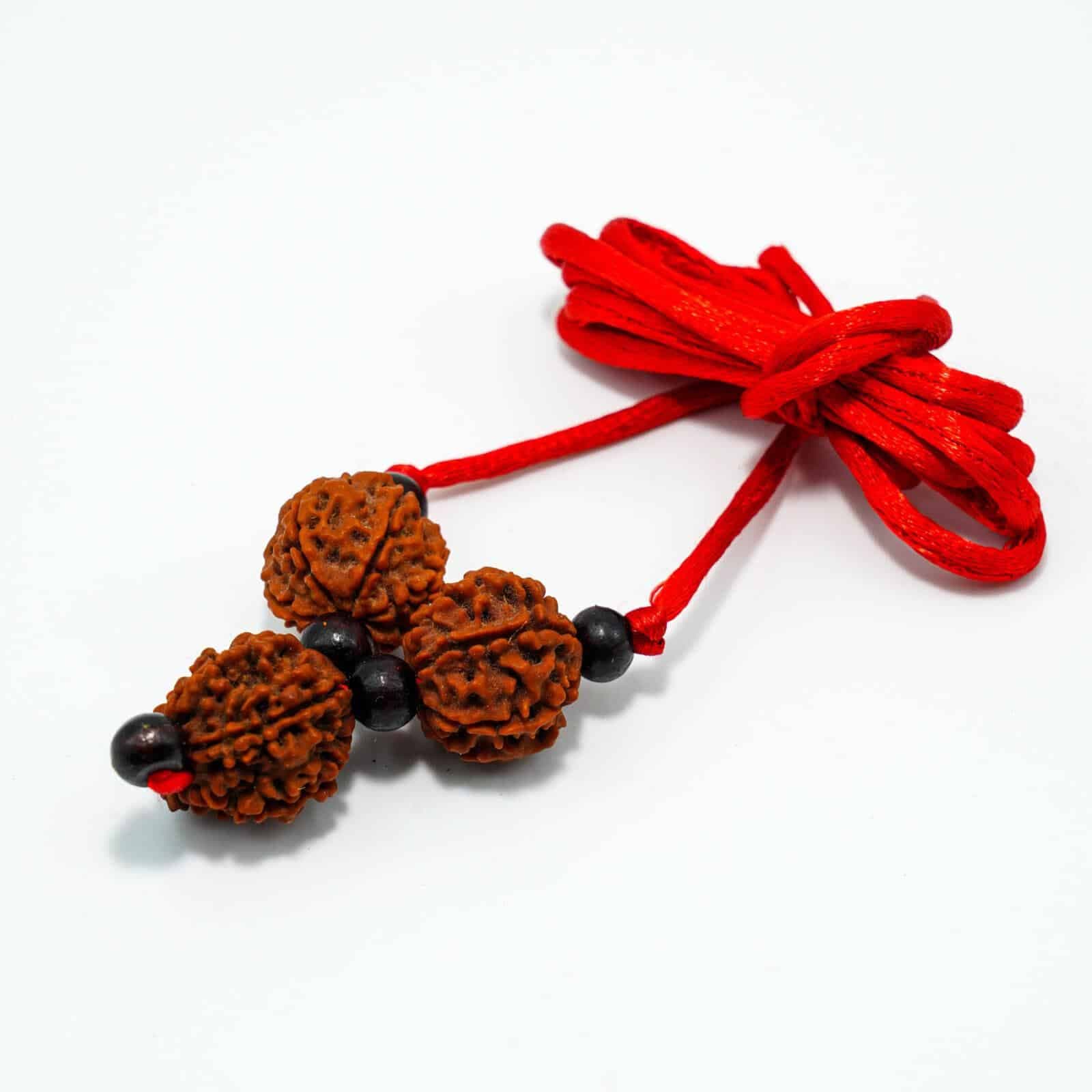 Ganesh Rudraksha thumbnail 3