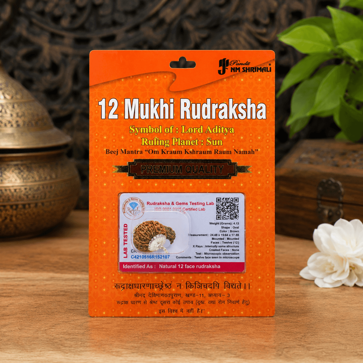 12 Mukhi Rudraksha 100% Certified