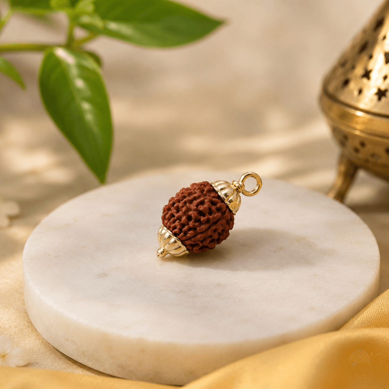 3 Mukhi Rudraksha 100% Certified