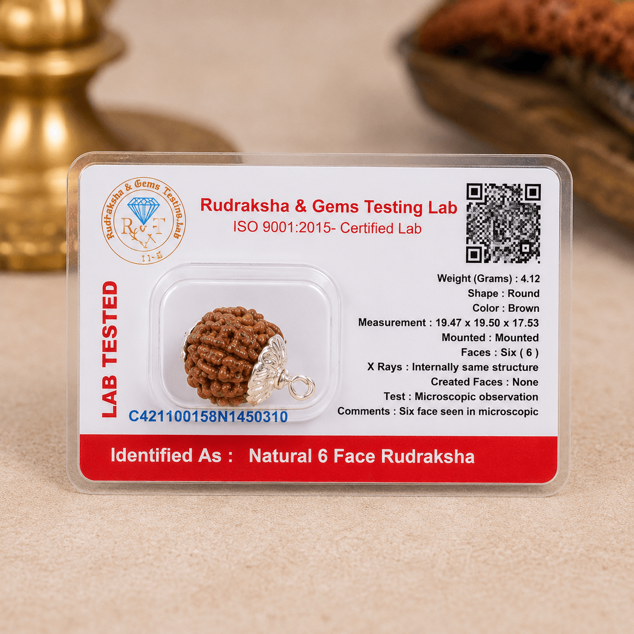 6 Mukhi Rudraksha 100% Certified