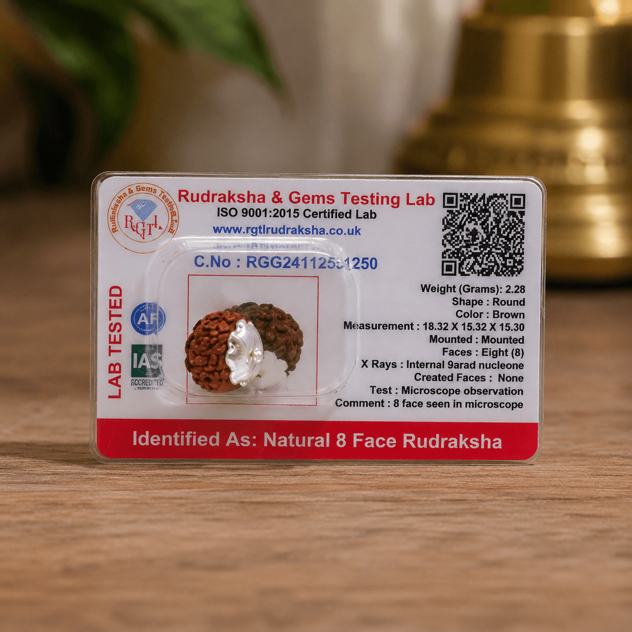 8 Mukhi Rudraksha 100% Certified