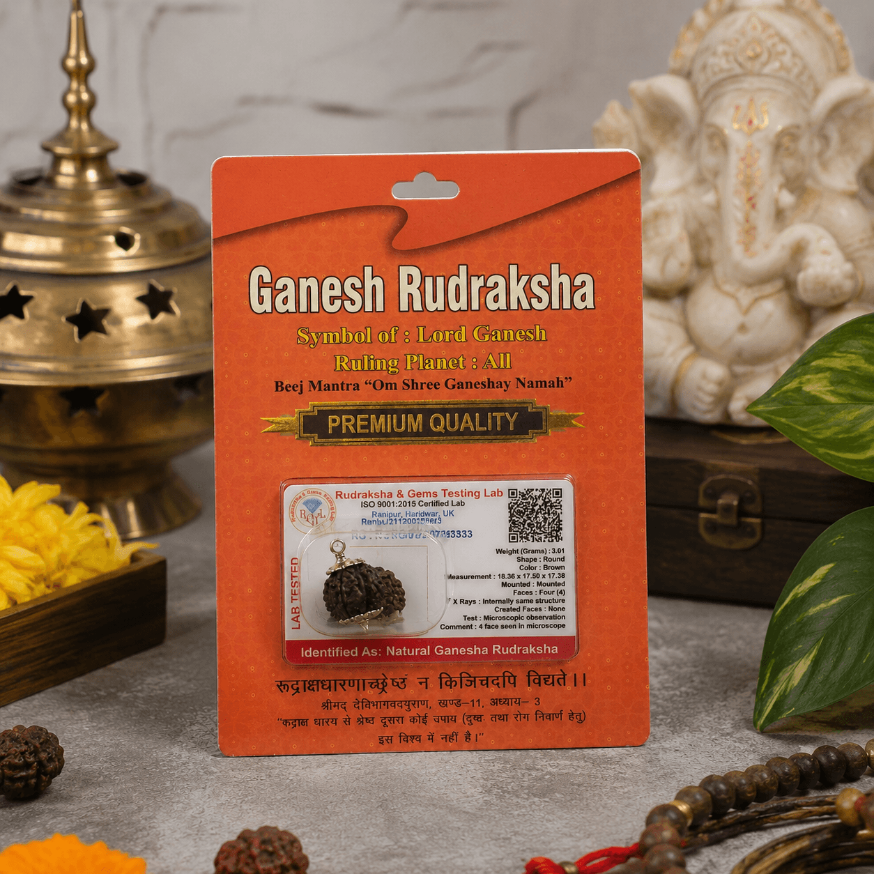 Ganesh Rudraksha