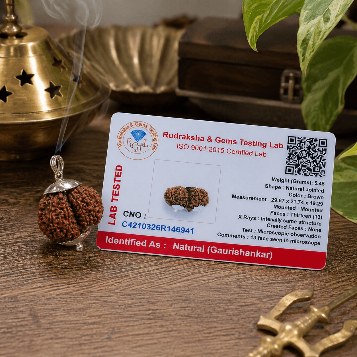 Gauri Shankar Rudraksha 100% Certified