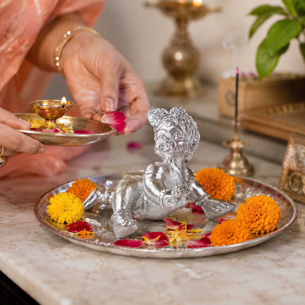 Parad Laddu Gopal thumbnail 2