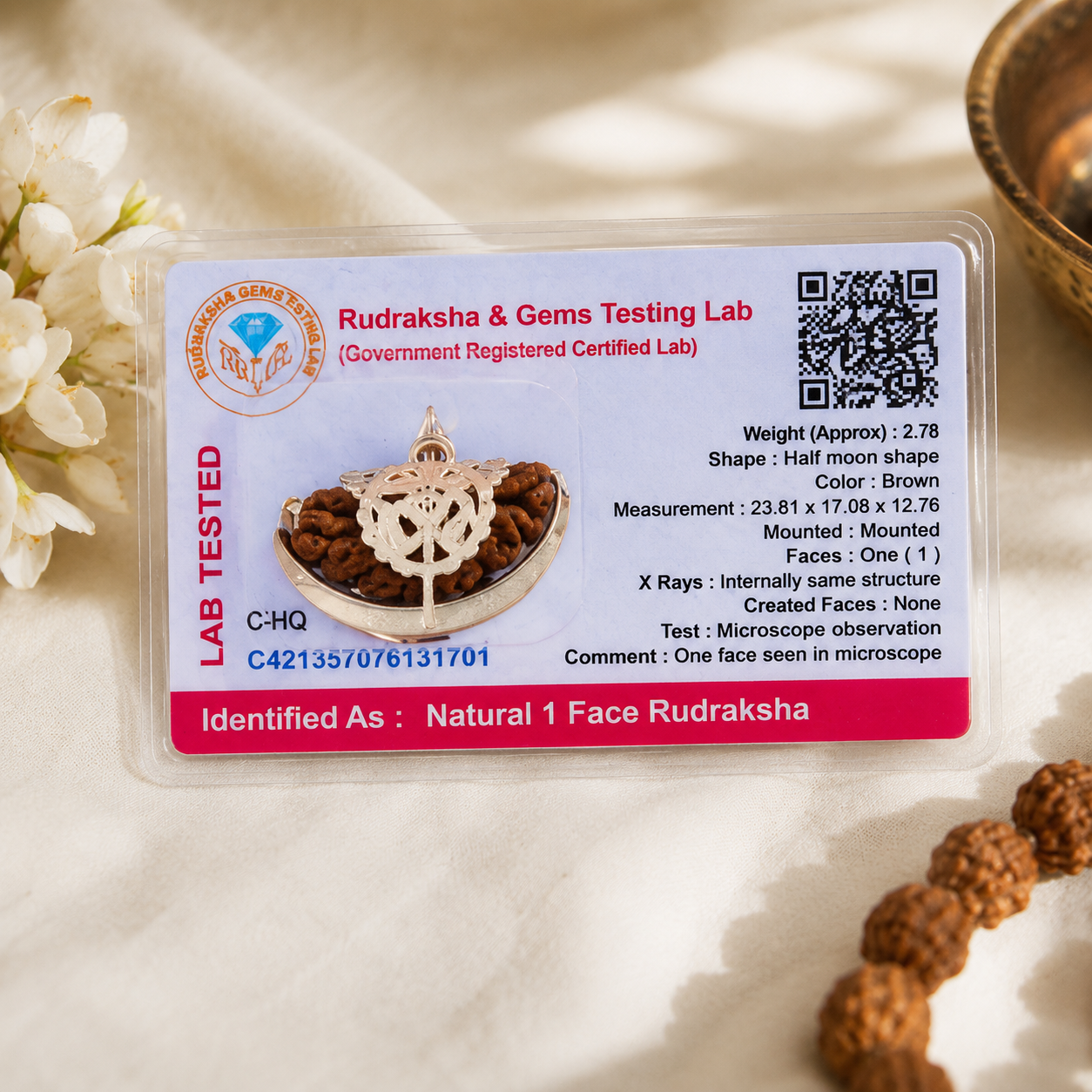 1 Mukhi Rudraksha 100% Certified thumbnail 3