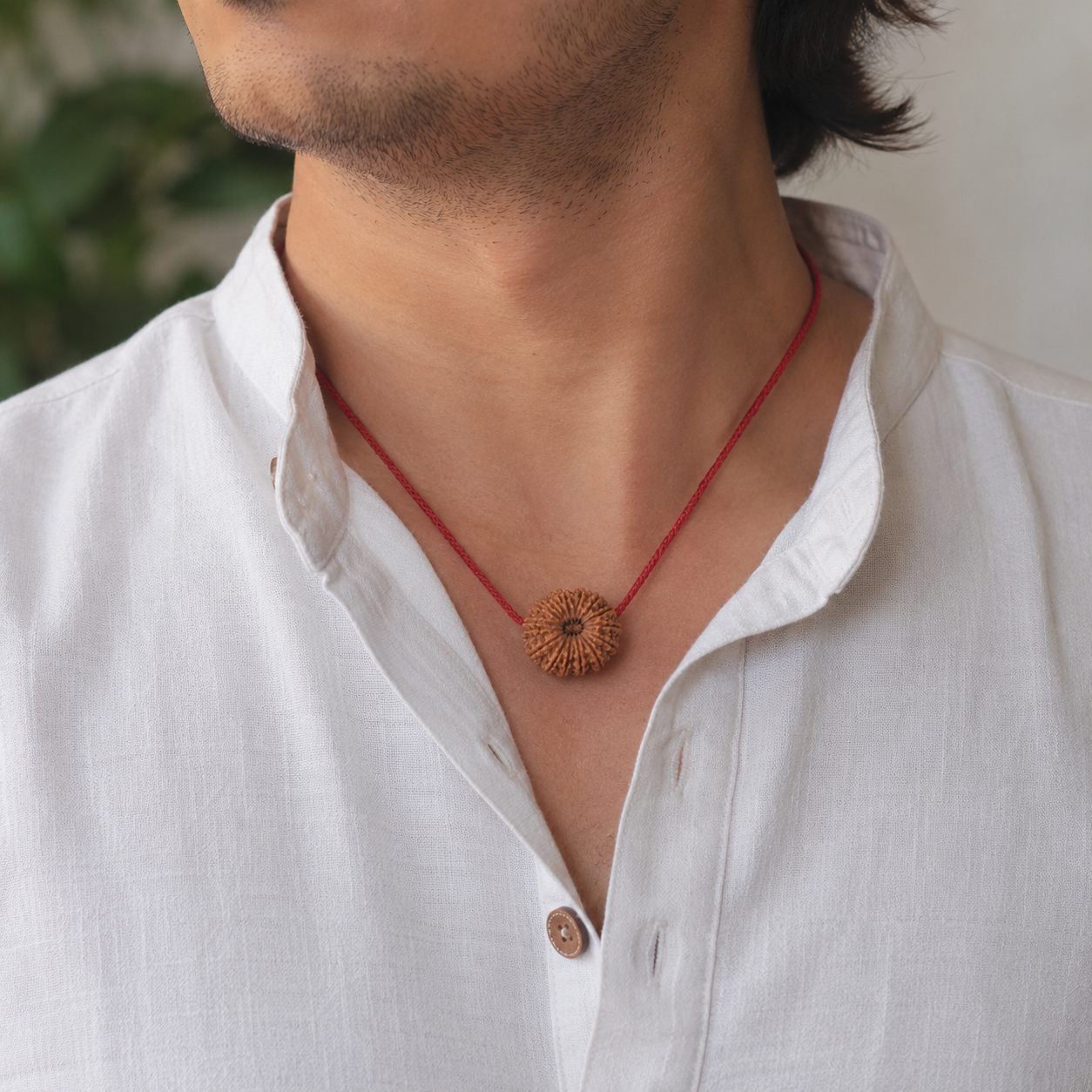 16 Mukhi Rudraksha 100% Certified thumbnail 4
