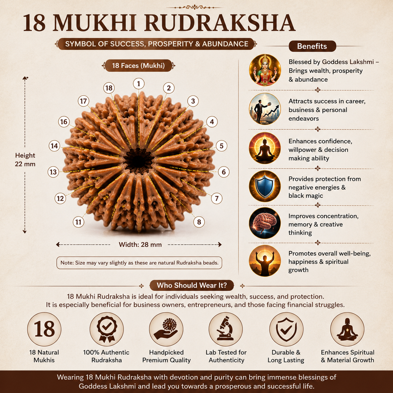 18 Mukhi Rudraksha 100% Original & Certified thumbnail 2