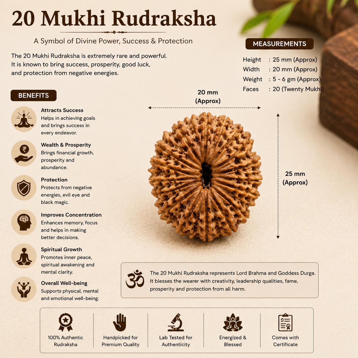 20 Mukhi Rudraksha 100% Original & Certified thumbnail 2