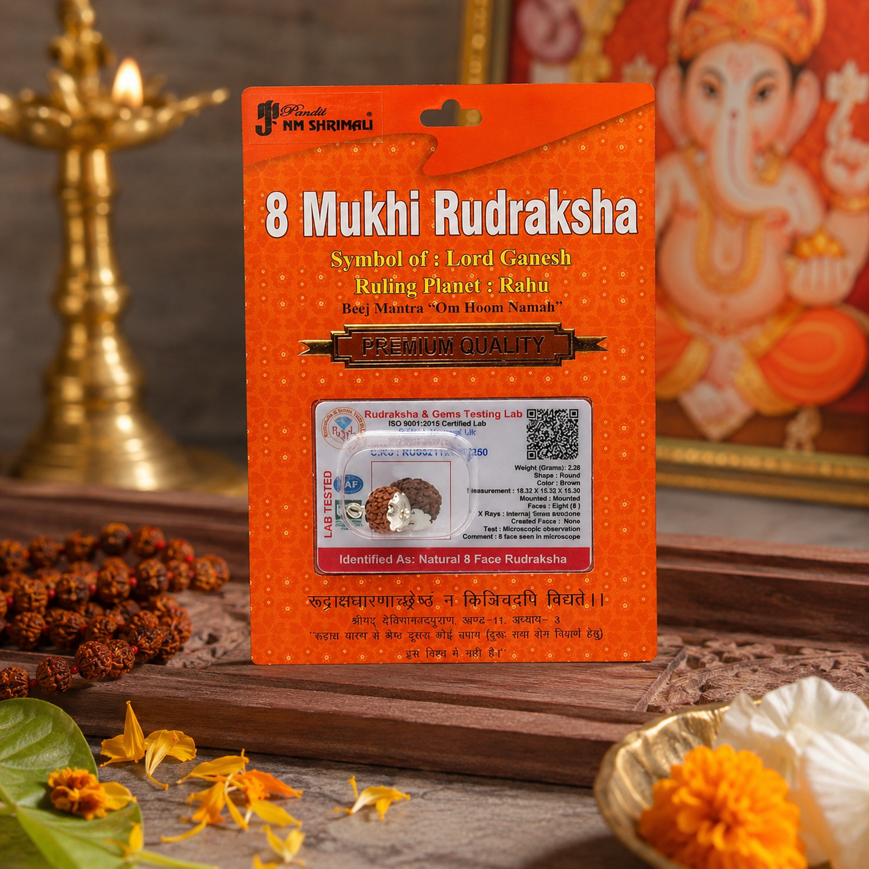 8 Mukhi Rudraksha 100% Certified thumbnail 3