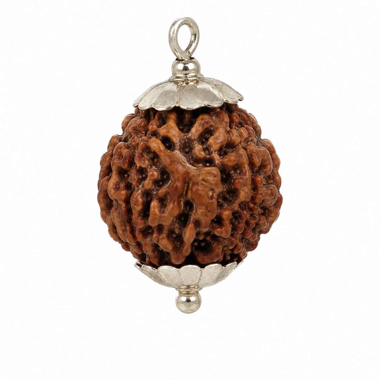 Ganesh Rudraksha thumbnail 2