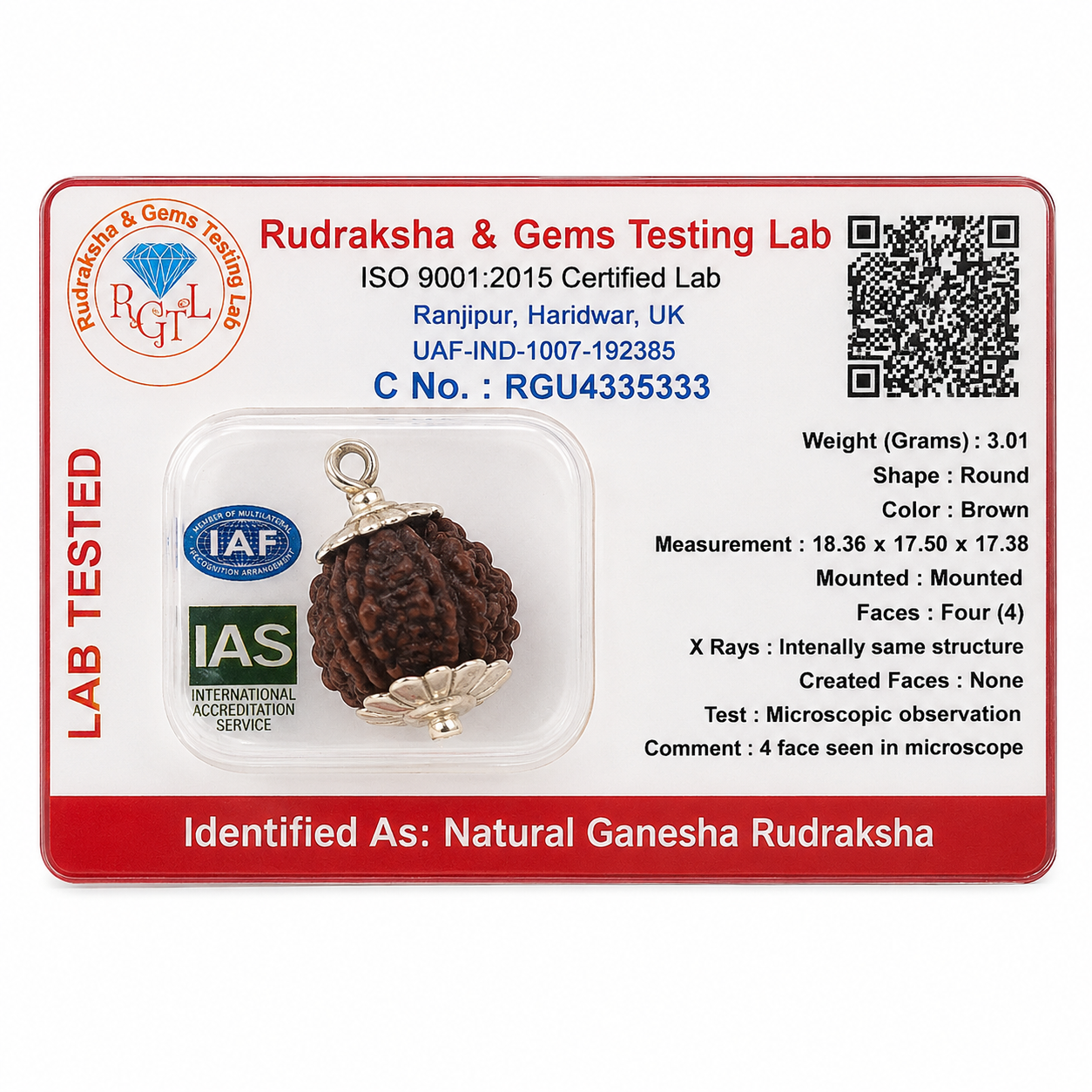 Ganesh Rudraksha thumbnail 3