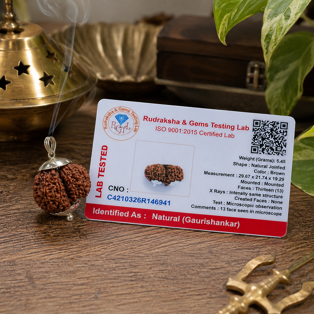 Gauri Shankar Rudraksha 100% Certified