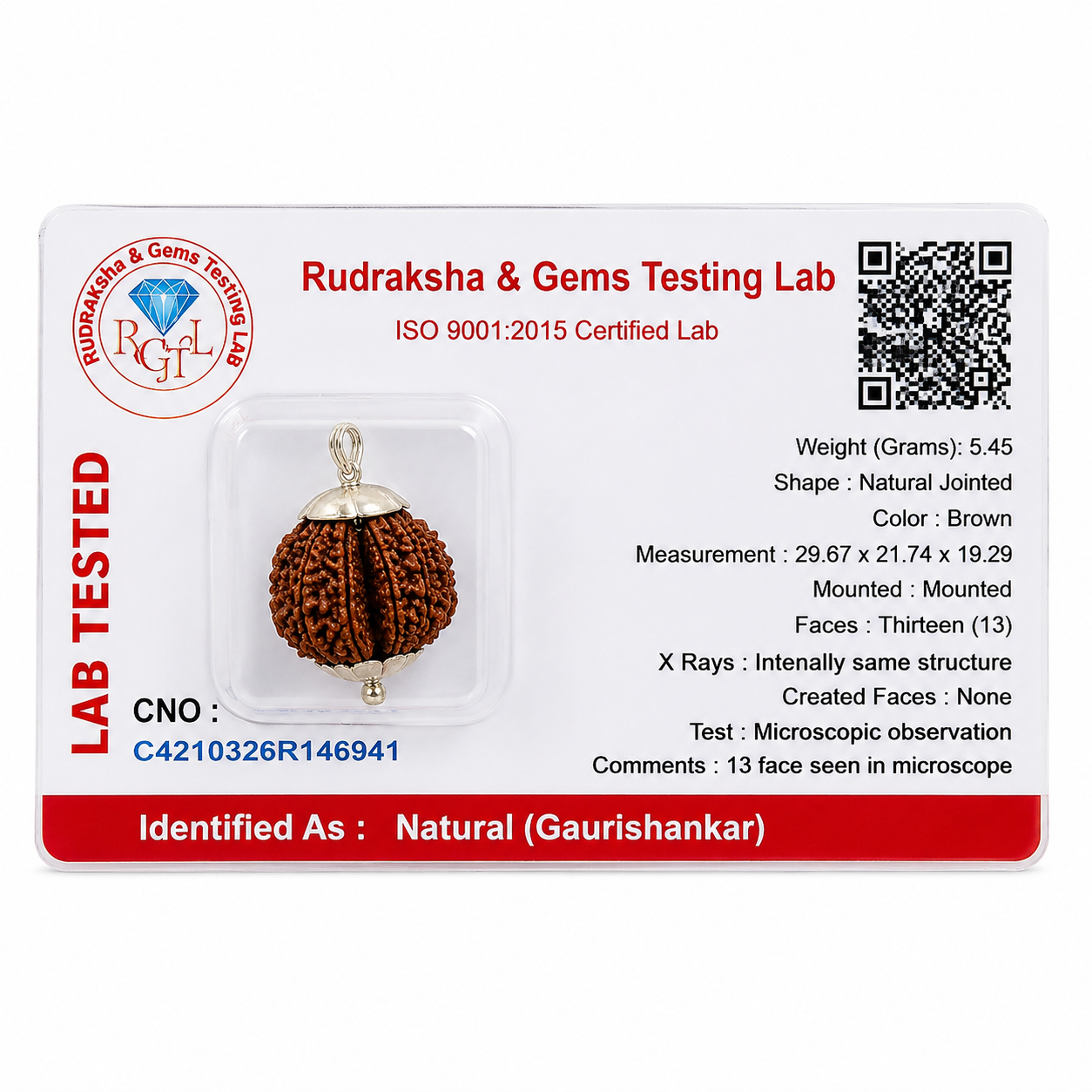 Gauri Shankar Rudraksha 100% Certified thumbnail 3