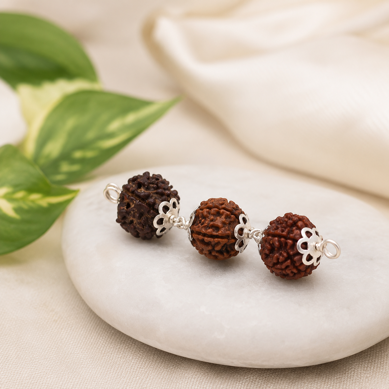 Kumbh Rashi Rudraksha 4+5+6 Mukhi