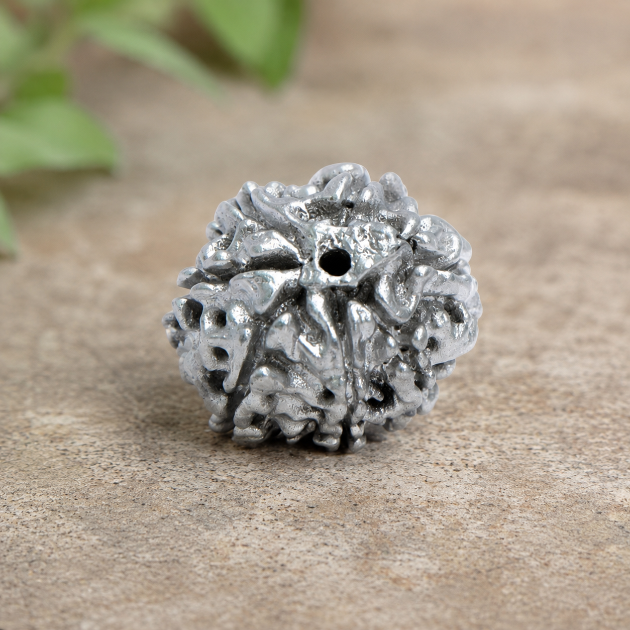 Parad Rudraksha