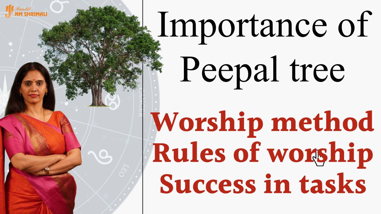 Importance of Peepal tree