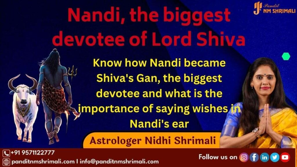 Nandi the biggest devotee of Lord Shiva